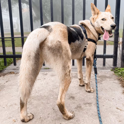 93545033271846001454118804230311667247513649279000342993662872580389645320193