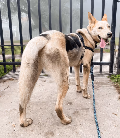 Item #93545033271846001454118804230311667247513649279000342993662872580389645320193 Media