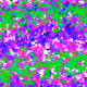 79847455760476516399087628697200587219444516265486563126667179572692313440257