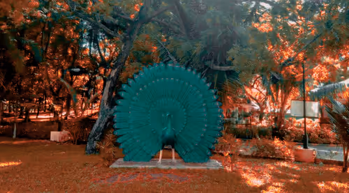 Item #66869618967602468746282682134224071188176977612925683750595185228701964959745 Media