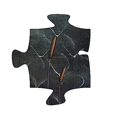 Item #75422050829207020223155639576581706124142298038255743959433826927585680949272 Media