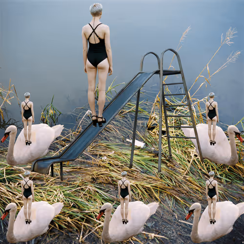 Item #109162157552346088047496633038404394118504199992061596446112929388526384971777 Media