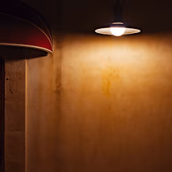 Light