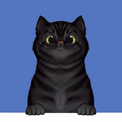 Sweet Cats #56