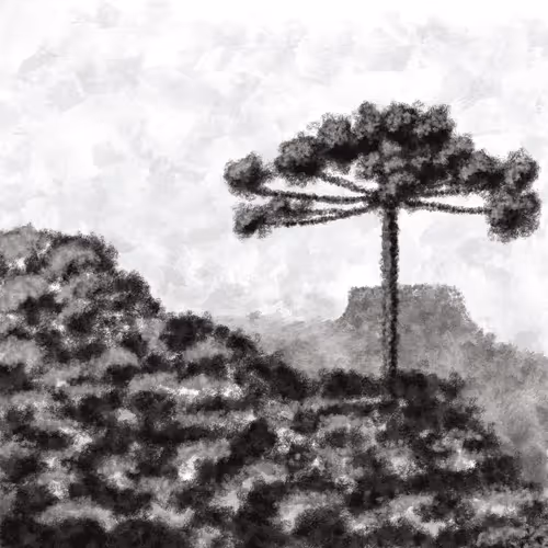 Item #74277105166926401675648590500167077095239870897579205430653654834083673407489 Media