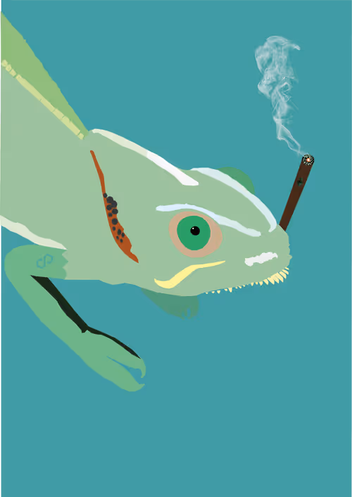 Item #46679994496108624530020148644785155104419172278486625888968680977316093886465 Media