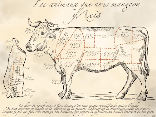 Item #46862099387998464241312168474027988257595867343221882830817093831687818706945 Media