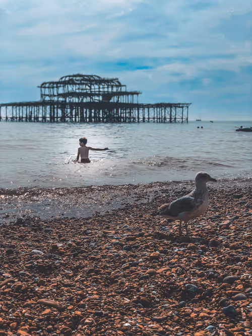 Item #93830154749716828743189394617161105712765095848897900338139654634823250608129 Media