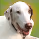 105666504886539346611625553081050838724307445958960525331001535428691287343105