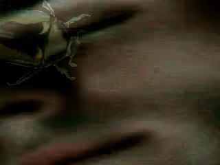 Item #36049036210915542891603514203013099125599246175484305955535371968591133933569 Media