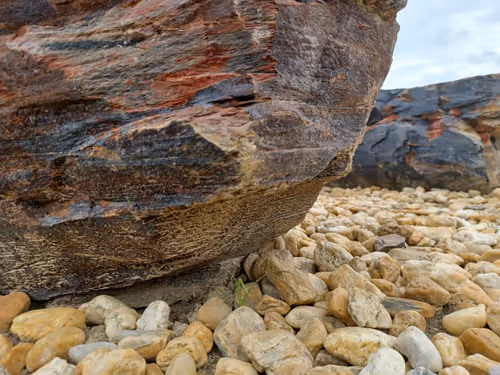 Item #32708508987210996203505439108186848896243903998336501445034175501330324389889 Media