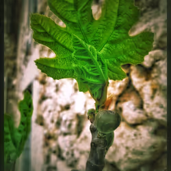 3787080761074609709675817509753112159059746763483256848434353679842198683649