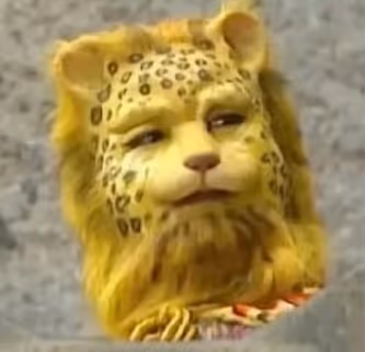 Untitled Collection #203053218