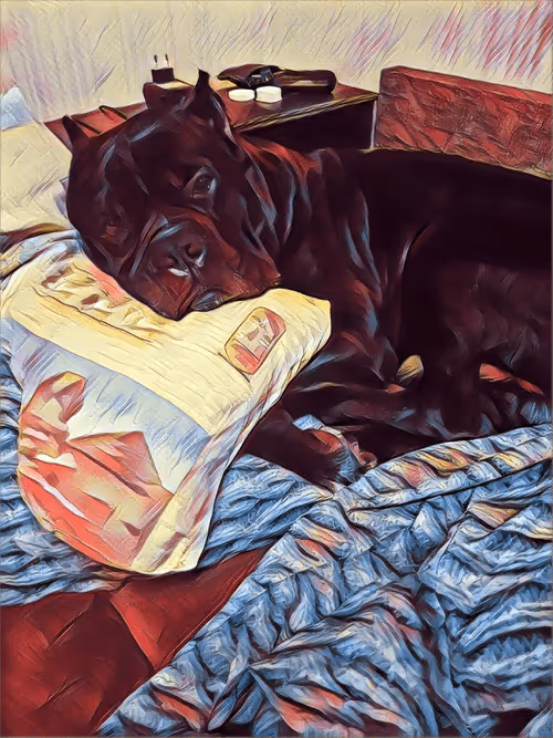 Item #37182515887132438156716547995651835477676529273037928400733563062105564774401 Media