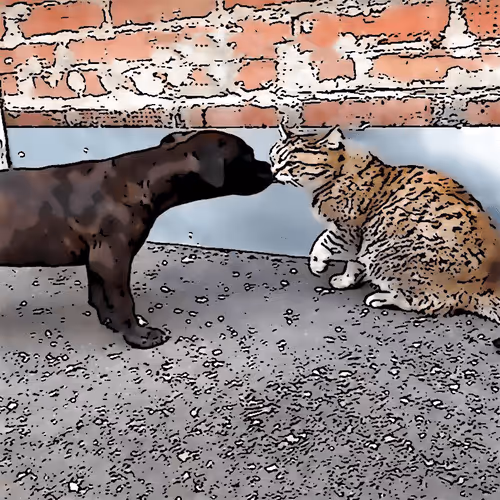 Item #100699266862010265980474664760375873767511284921164942724068626249914240729089 Media