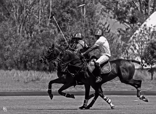 Item #41292547216999824454426259435267855130465343897515309645987456179907216801793 Media