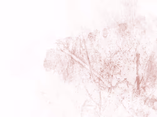 Item #108648420360214736937690321880281304067553396152004957868563263554154995384321 Media