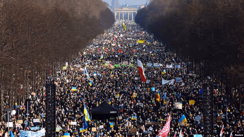 Untitled Collection #16648710