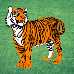 tiger king