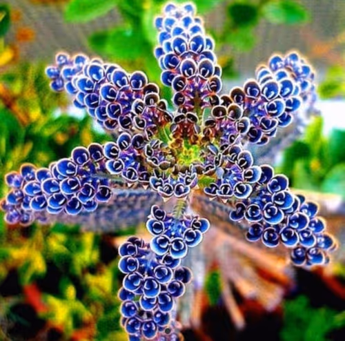 Item #88361313623367821169385109995691991430035234120960623439170725888296377909448 Media