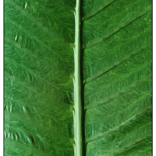 Item #44841669653503183183451948352729976287069847475674991683319661593127232208898 Media