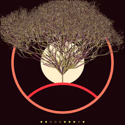 74168867016011539093366687608765447348507224284888477074887989324052504248321