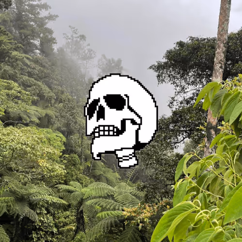 Item #18240276879404704177669884455885923087769682053794697788107464220688101933057 Media