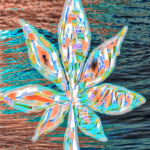 Item #38061558672569619382459871877364344756388492459025547974353264306406501122049 Media