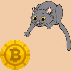 6350837724175369871207491628993880744259048437356542206956245721216576389121