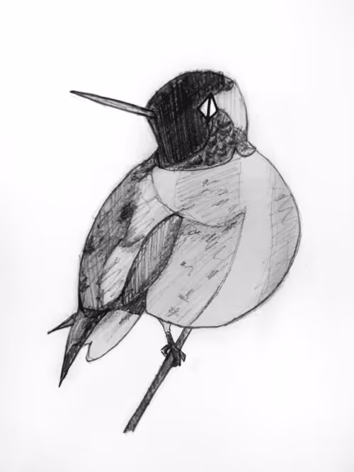 Item #21782199312368670970242189760663991903932470876849492131182457856056115593217 Media