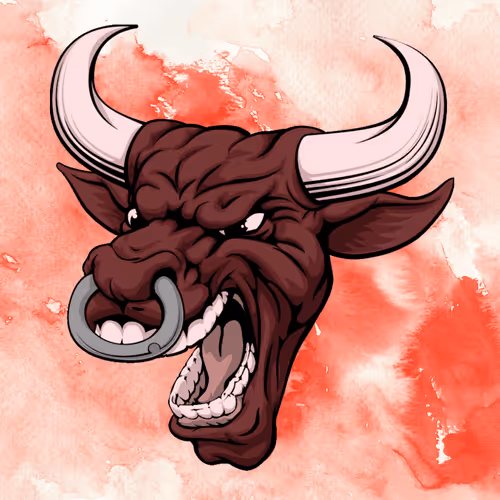Wrath of The Bull #19