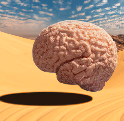 Item #37811477179754297602429756947520757984388748987284597207447187885616938352641 Media