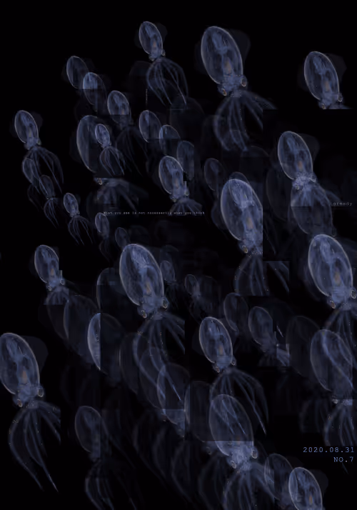 Item #49380836627770662733359422450185159630436709343046895638781015838757897633793 Media