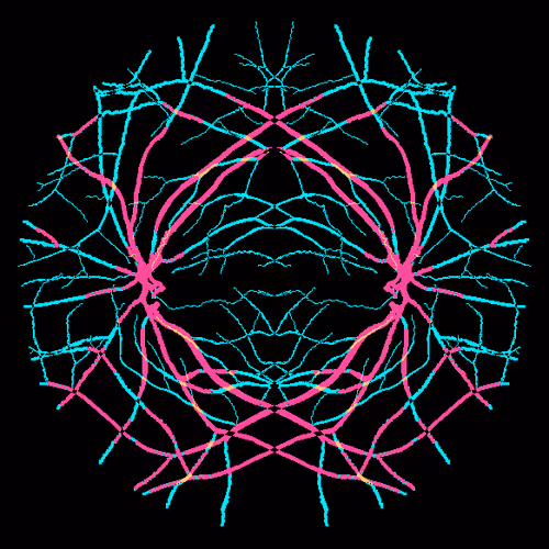 Item #7078802064077755305879053961196844759257248211509687953083586763210111320065 Media