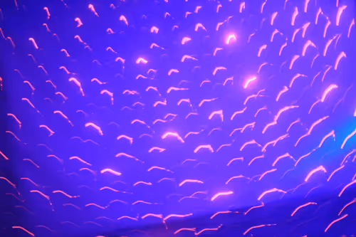 25388429571187189400142896144030193801342767201083735738326485268401806639105