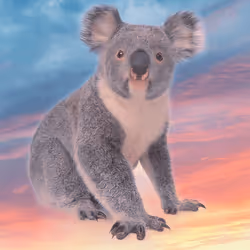 75086745474347274452093740593438062832653814310012917017256883100125983932417