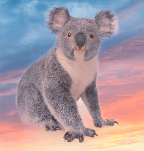 Item #75086745474347274452093740593438062832653814310012917017256883100125983932417 Media