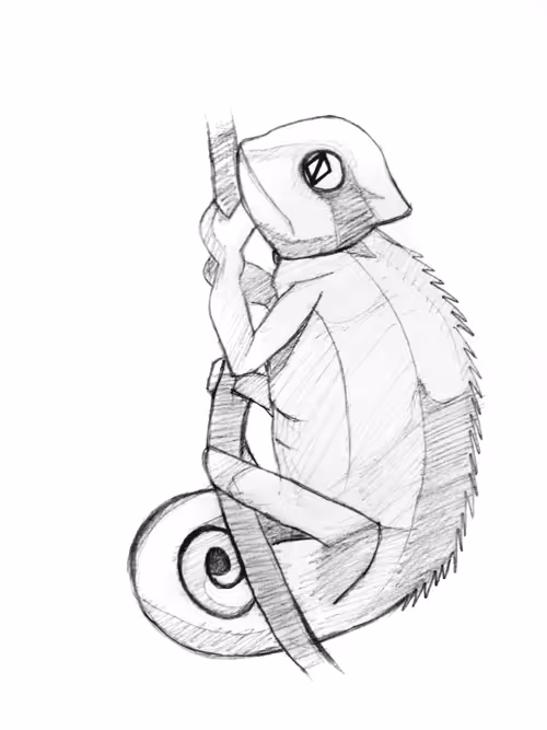 Item #21782199312368670970242189760663991903932470876849492131182457864852208615425 Media