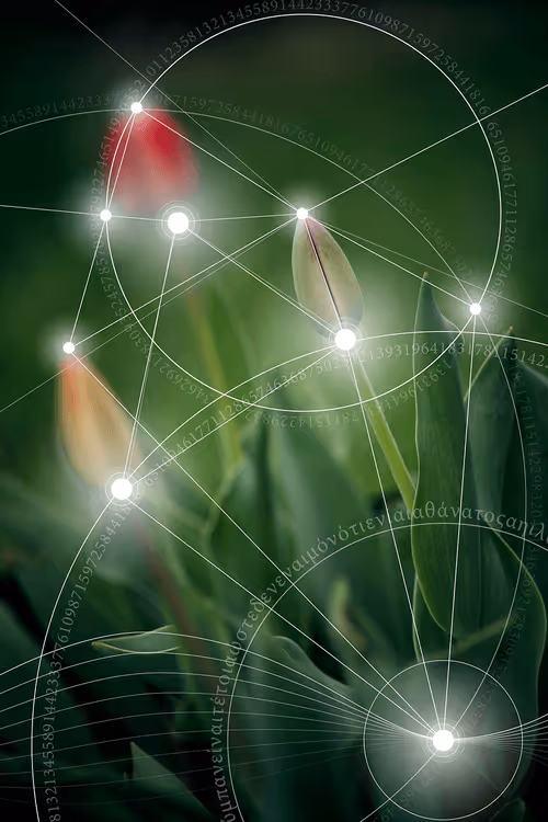 Item #32411125675487060619215429291378722085316015159672046256732381680648509718529 Media