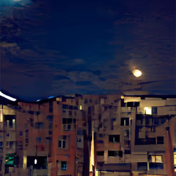 Night#6