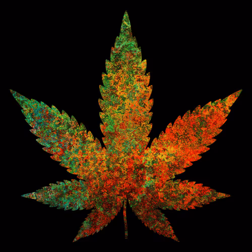 Item #27429404742285856424020713709496491268388893896169540775489702269456304046090 Media