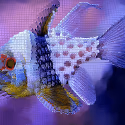 11276162529628641556553056529614973332754405277106184420845744837704707735553