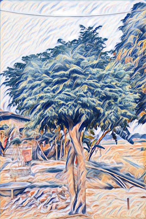 Item #53344357632477815300370085821507821745666874647266618234079417748956272132097 Media