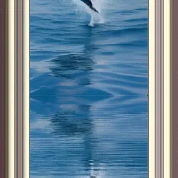 108065665434435766760522700651324844344204555372000129092130960383926931030026