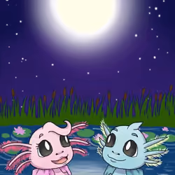 Moonlight 