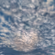 12166527748899758374526758174605269143420094225653468873305344433137175756802