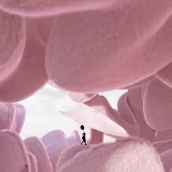 92504078947355780452492610904108489035176464004963829508858458790275412131841