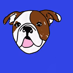 Maui The Bulldog