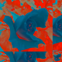 #soloREFLECTIONS #roseFORaDREAM #GRIDdriven from #EDFORS