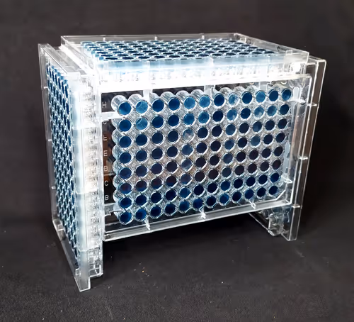 Item #108955583872739655741702358868652756405273862791069305959596897651129344589825 Media